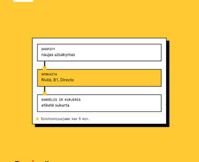 Shopify programavimas: temos, integracijos ir programėlės / Sujungta.lt / Darbų pavyzdys ID 4559412