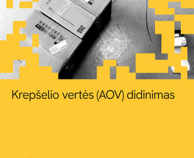 Shopify programavimas: temos, integracijos ir programėlės / Sujungta.lt / Darbų pavyzdys ID 4559414