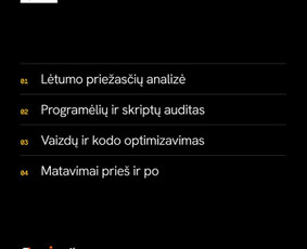 Shopify programavimas: temos, integracijos ir programėlės / Sujungta.lt / Darbų pavyzdys ID 4559430