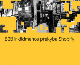Shopify programavimas: temos, integracijos ir programėlės / Sujungta.lt / Darbų pavyzdys ID 4559452