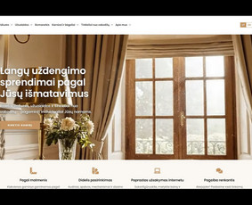 Interneto svetainių kūrimas - Profesionali interneto svetainė ir procesų automatizavimas - 2