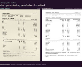 Vertimai anglų - lietuvių kalbomis - Vertimai su notaro patvirtinimu. Vertėjas ir teisininkas - 4