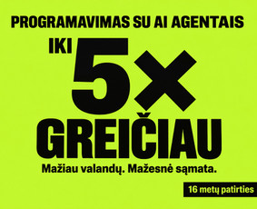 Programuotojai - Programavimo paslaugos, Ai diegimas. - 2
