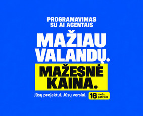 Programuotojai - Programavimo paslaugos, Ai diegimas. - 1