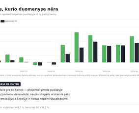 Microsoft Office Excel specialistai - Interaktyvūs grafikai svetainei i&scaron; Excel duomenų - 4