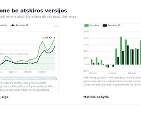 Microsoft Office Excel specialistai - Interaktyvūs grafikai svetainei i&scaron; Excel duomenų - 3