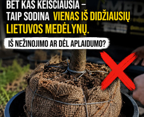 Aplinkos tvarkymas, apželdinimas - Sodininko paslaugos - 1