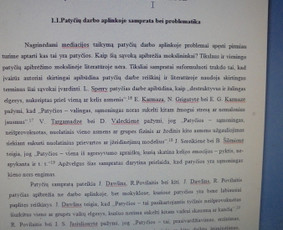 Profesionali pagalba rengiant rašto darbus / Dana / Darbų pavyzdys ID 988437