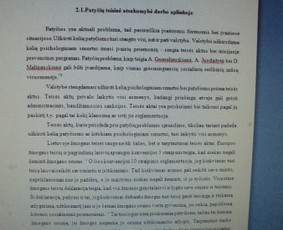 Profesionali pagalba rengiant rašto darbus / Dana / Darbų pavyzdys ID 988439