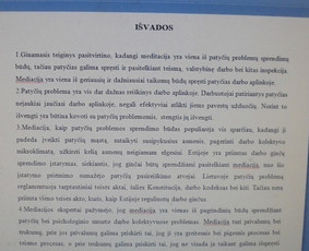 Profesionali pagalba rengiant rašto darbus / Dana / Darbų pavyzdys ID 988441