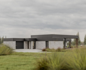 3D vizualizacijos: interjeras, eksterjeras, 3D planai / LURAVIZ / Darbų pavyzdys ID 4561694