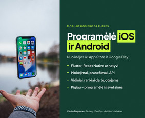 Svetainės, programėlės, sistemos – greitai ir kokybiškai / Vaidas Bagdonas / Darbų pavyzdys ID 4561872