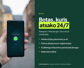 Svetainės, programėlės, sistemos – greitai ir kokybiškai / Vaidas Bagdonas / Darbų pavyzdys ID 4561884