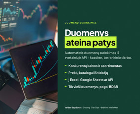 Svetainės, programėlės, sistemos – greitai ir kokybiškai / Vaidas Bagdonas / Darbų pavyzdys ID 4561886
