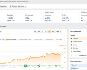 Raktinių žodžių analizė ir parinkimas - Seo Paslaugos ir Optimizavimas - Konsultuoju nemokamai - 3