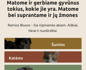 Programavimas su WordPress - E. parduotuvės, svetainės, programos - Programavimo Darbai - 2