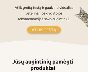 Programavimas su WordPress - E. parduotuvės, svetainės, programos - Programavimo Darbai - 1