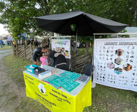 Laikinos tatuiruotės / Veidukų piešimas / Blizgučių stotelė / Black Swan kūno puošyba / Darbų pavyzdys ID 4564498