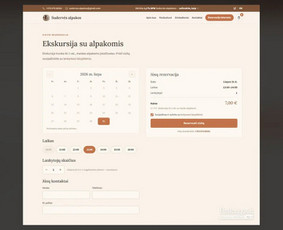 E-parduotuvės, integracijos ir verslo automatizacija / RunTime.lt / Darbų pavyzdys ID 4565308