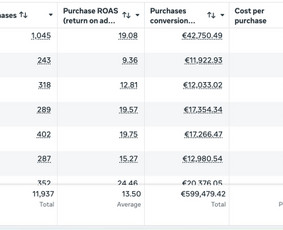 Marketingo strategijos kūrimas - Facebook reklamos ekspertė, Pardavimų augimas per Meta Ads - 3