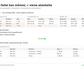 Microsoft Office Excel programavimas - Excel automatizavimas, Power Bi ir interaktyvūs grafikai - 1