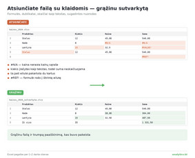 Darbo su &bdquo;Microsoft Office Excel&ldquo; programa konsultacijos - Excel automatizavimas, Power Bi ir interaktyvūs grafikai - 1