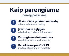 Paslaugos verslui - Vie&scaron;ųjų pirkimų paslaugos įmonėms - 3