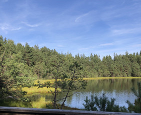 Ekskursijos, gidai - Travel Planning & Local Assistance in Lithuania - 4