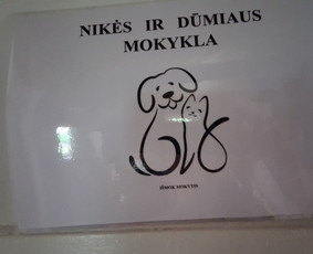 Pradinių klasių mokytoja - Linksmai ir žaismingai ruo&scaron;iu vaikus į mokyklą - 4