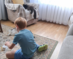 Pradinių klasių mokytoja - Linksmai ir žaismingai ruo&scaron;iu vaikus į mokyklą - 1