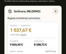 Finansinių ataskaitų rengimas, teikimas - Mažųjų bendrijų buhalterija internetu nuo 69 &euro;/mėn. - 2