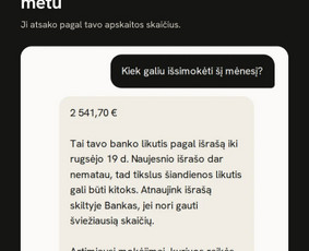 Buhalterio konsultacija - Mažųjų bendrijų buhalterija internetu nuo 69 &euro;/mėn. - 2