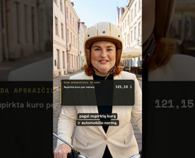 Mažųjų bendrijų buhalterija internetu nuo 69 €/mėn. / Zitutė | Today LT, MB / Darbų pavyzdys ID 4569684