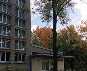 Medžių genėjimas, pjovimas - Medžių pjovimas, genėjimas - 3