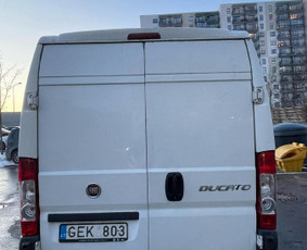 Mikroautobusų nuoma - Fiat maxi idealus nuoma - 3