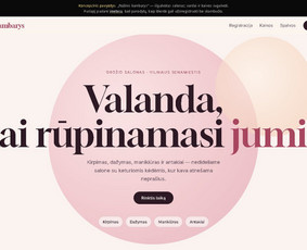 Interneto svetainių priežiūra - Interneto svetainių kūrimas mažam verslui nuo 349 &euro; - 4