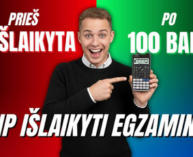 Papildomas matematikos mokymas internetu - Matematikos korepetitoriai internetu 5-12 klasei, Vbe, Pupp - 2
