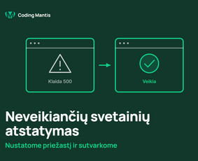 Individualios sistemos, integracijos ir automatizavimas / Coding mantis / Darbų pavyzdys ID 4574368