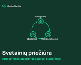Individualios sistemos, integracijos ir automatizavimas / Coding mantis / Darbų pavyzdys ID 4574372