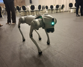 Pasirodymai, &scaron;ou renginiams - Robo &Scaron;uo - 3