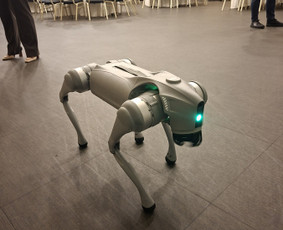 Pasirodymai, &scaron;ou renginiams - Robo &Scaron;uo - 2