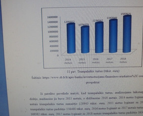 Profesionali pagalba rengiant rašto darbus / Dana / Darbų pavyzdys ID 991705