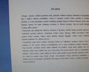 Profesionali pagalba rengiant rašto darbus / Dana / Darbų pavyzdys ID 991751