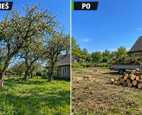 Aplinkos tvarkymas, apželdinimas - Medžių Pjovimas, &Scaron;alinimas, &Scaron;akų Ir Medienos I&scaron;vežimas - 2