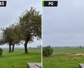 Aplinkos tvarkymas, apželdinimas - Medžių Pjovimas, &Scaron;alinimas, &Scaron;akų Ir Medienos I&scaron;vežimas - 1