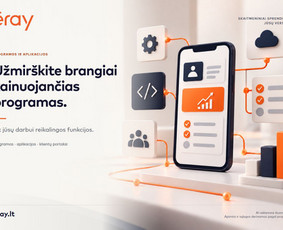 Programuotojai - Eray &ndash; programos verslui, Excel ir Ai automatizavimas - 3