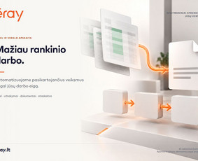 Programuotojai - Eray &ndash; programos verslui, Excel ir Ai automatizavimas - 2