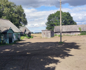 Mini krautuvo ir savivarčio su greiferiu paslaugos / MB Dunce / Darbų pavyzdys ID 4576584