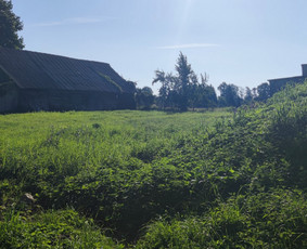 Žemės kasimas, lyginimas - Mini krautuvo ir savivarčio su greiferiu paslaugos - 4