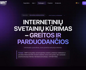 Interneto svetainių priežiūra - Svetainių kūrimas verslui Kaune: greita ir su Seo - 2